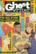 Book cover of BIG STINK AND OTHER MYSTERIES, THE