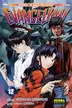 Book cover of NEOGÉNESIS EVANGELION TOMO 12
