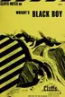 Book cover of Black boy, notes