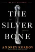 Book cover of Silver Bone
