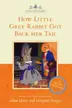 Book cover of How Little Grey Rabbit Got Back Her Tail (Television Tie In)