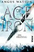 Book cover of Age of Iron 02. Der Feldzug