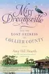 Book cover of Miss Dreamsville and the lost heiress of Collier County