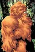 Book cover of Alpha Flight Vol. 2