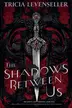Book cover of The Shadows Between Us