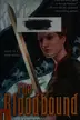 Book cover of The bloodbound