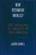 Book cover of The theology of the Acts of the Apostles