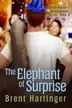Book cover of The Elephant of Surprise