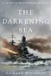 Book cover of The Darkening Sea
