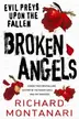 Book cover of BROKEN ANGELS