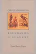 Book cover of Challenging the boundaries of slavery