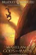 Book cover of A Wasteland of My God's Own Making: A Shattered Sands Novella