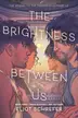 Book cover of The Brightness Between Us