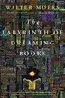 Book cover of Das Labyrinth der Träumenden Bücher