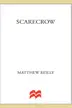 Book cover of Scarecrow