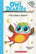 Book cover of Eva Sees a Ghost (BRANCHES)