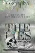 Book cover of The Lies we Steal