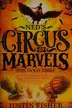 Book cover of Ned's circus of marvels