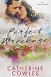 Book cover of Perfect Wreckage