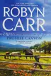 Book cover of Promise Canyon