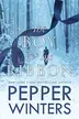 Book cover of The Boy and His Ribbon