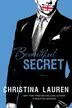 Book cover of Beautiful Secret