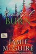 Book cover of Beautiful burn