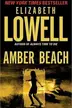 Book cover of Amber Beach