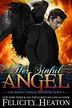 Book cover of Her Sinful Angel