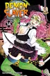 Book cover of Demon Slayer: Kimetsu no Yaiba, Vol. 14