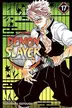 Book cover of Demon Slayer: Kimetsu no Yaiba, Vol. 17