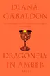 Book cover of Dragonfly in Amber