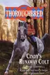 Book cover of Cindy's Runaway Colt