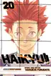 Book cover of Haikyu!! 20: Particular