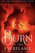 Book cover of Burn of the Everflame