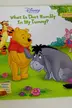 Book cover of What is that rumbly in my tummy?