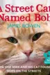 Book cover of A Street Cat Named Bob And How He Saved My Life
