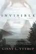 Book cover of Invisible