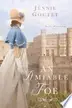 Book cover of An Amiable Foe