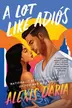 Book cover of A Lot Like Adiós