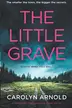 Book cover of The Little Grave