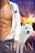 Book cover of Stefan
