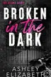 Book cover of Broken in the Dark