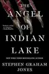 Book cover of The Angel of Indian Lake