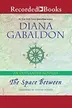 Book cover of The Space Between